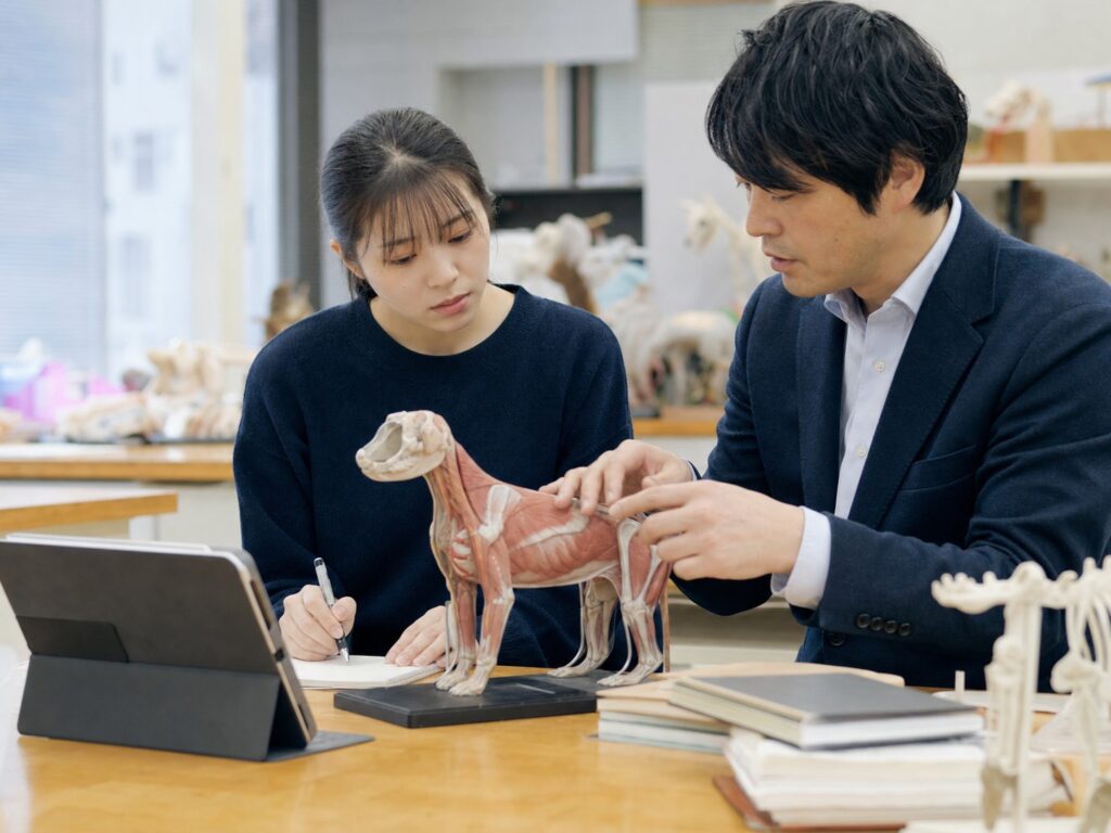 獣医学部の学習・指導シーン|ウェルズ家庭教師センター